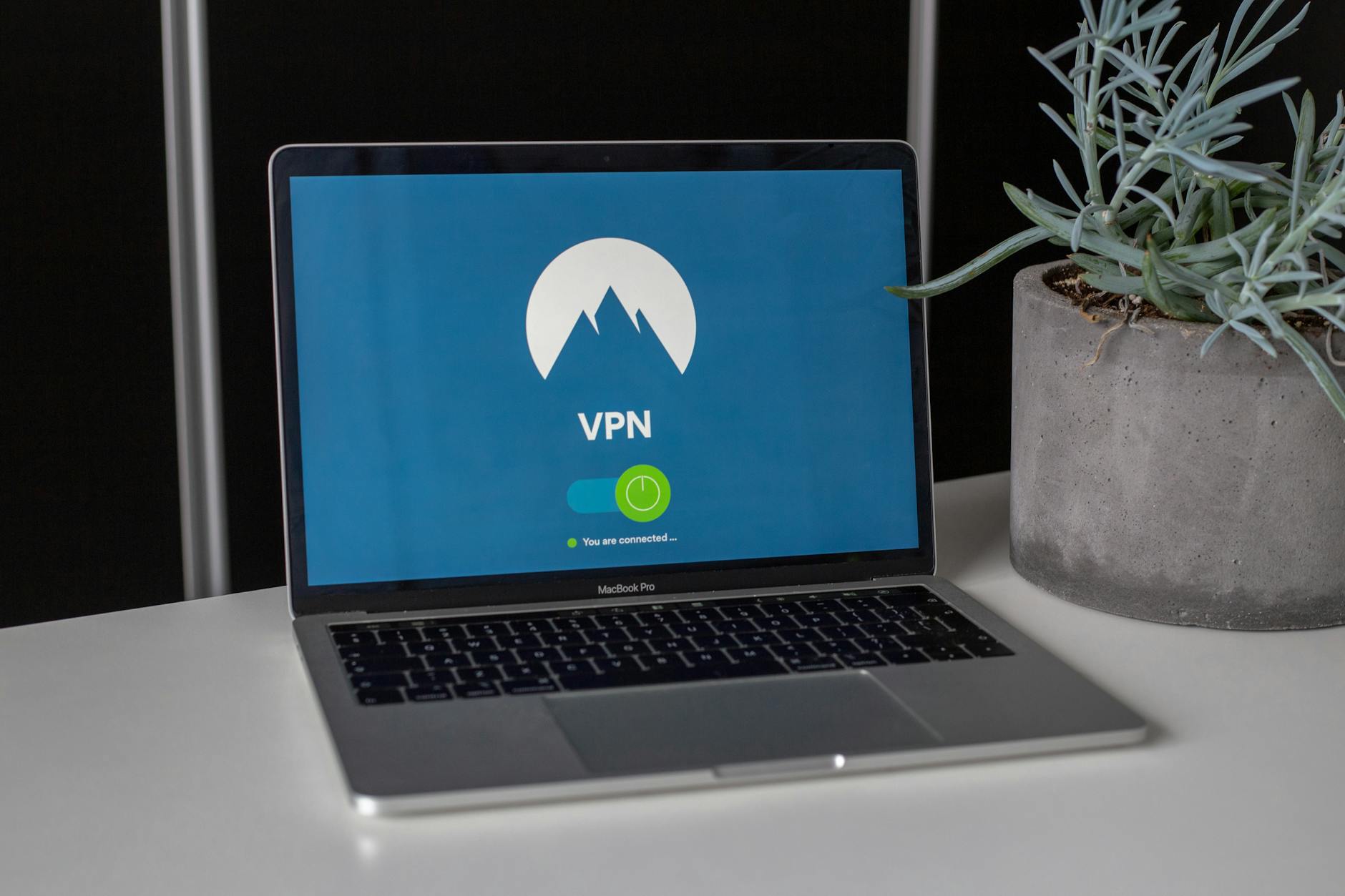 Laptop z ekranem VPN na biurku obok sukulentu, online bezpieczeństwo